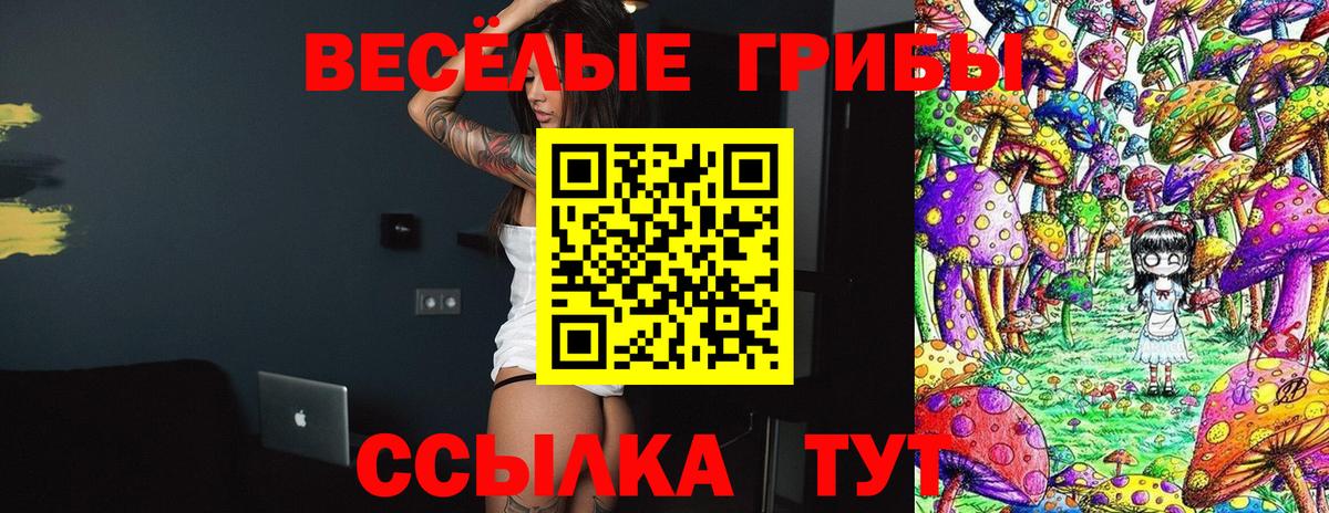Галлюциногенные грибы Cubensis  Вход с VPN  Урус-Мартан 