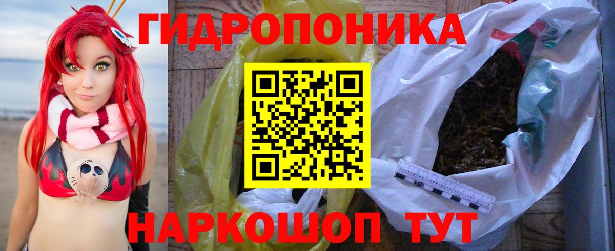 Бошки Шишки ГИДРОПОН Урус-Мартан